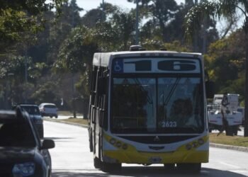 Resolución Se destinan fondos para el transporte público de pasajeros del interior del país