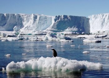 Cambio climático Drástica caída en el volumen de hielo marino en la Antártida