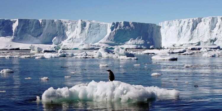 Cambio climático Drástica caída en el volumen de hielo marino en la Antártida