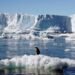 Cambio climático Drástica caída en el volumen de hielo marino en la Antártida