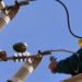 La EPE interrumpirá el servicio eléctrico en Barrios Los Nogales, Amancay y Antártida Argentina