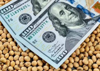 Las nuevas medidas que aplicará sobre el dólar el gobierno a partir de este lunes