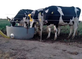 Tamberos del Centro Oeste santafesino cobran menos que el promedio nacional