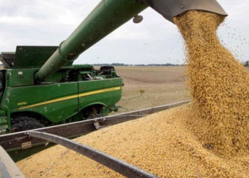 Departamento Castellanos: la cosecha de soja fue menor a la mitad de la campaña anterior
