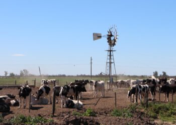 Se encuentra disponible la inscripción a la nueva etapa del Programa Impulso Tambero