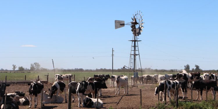 Se encuentra disponible la inscripción a la nueva etapa del Programa Impulso Tambero
