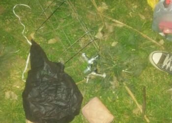 Un menor y una joven de 24 años detenidos por ingresos a patios de viviendas