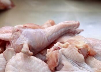 La Argentina vuelve a exportar carne aviar a la Unión Europea