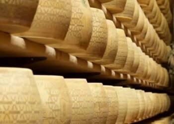 Sucedió en Italia Un hombre murió aplastado por 25 mil hormas de queso