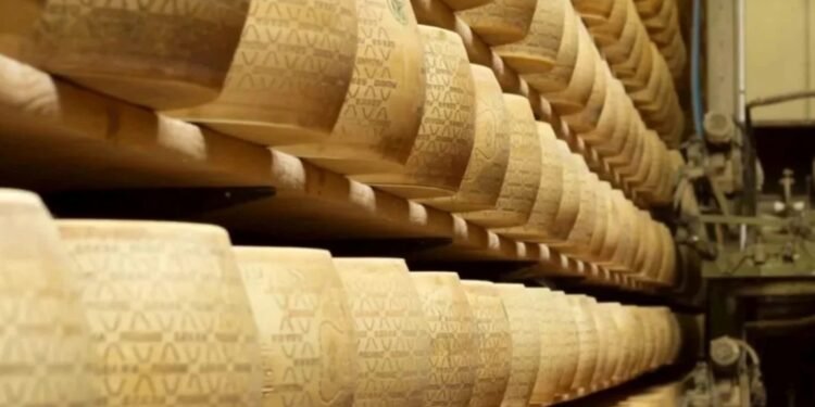 Sucedió en Italia Un hombre murió aplastado por 25 mil hormas de queso