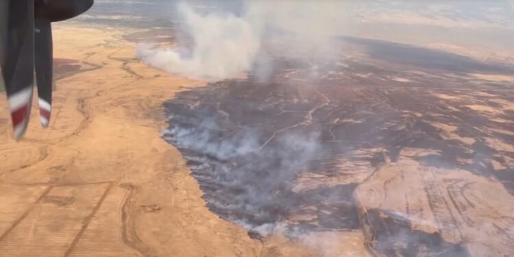 Crisis Impactantes imágenes: ya son 36 los muertos por incendios en Hawaii