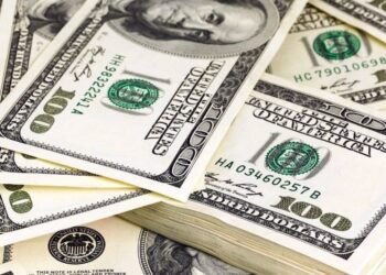 Cotizaciones El dólar «blue» abre a $ 602 en medio de clima social tenso antes de las PASO