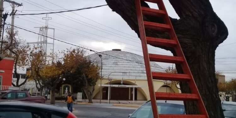 En una localidad de Santa Fe los partidos políticos deberán donar un árbol por cada cartel o pasacalle que coloquen