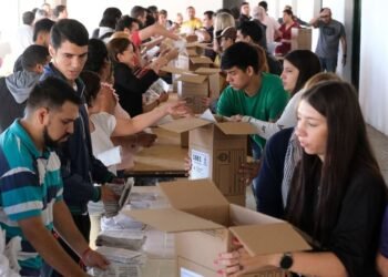 ¿Qué se vota el próximo domingo?