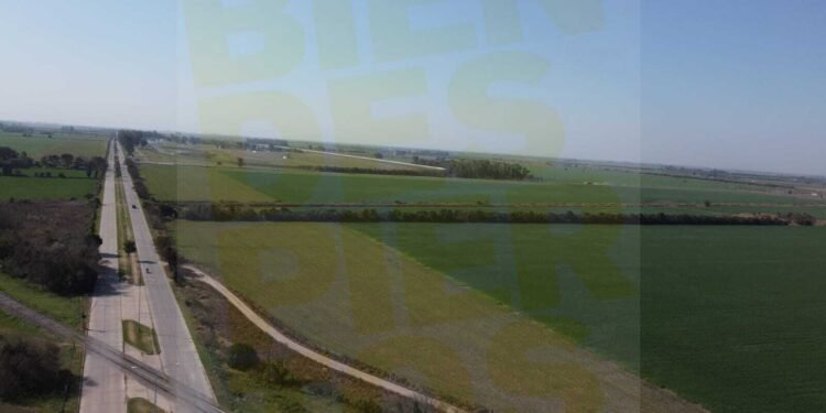 Atlético presentó detalles de su plan de urbanización de 1.350 lotes para viviendas