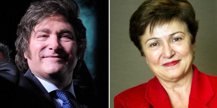 Milei se reunió con el FMI y prometió un ajuste fiscal «más grande que el exigido» por el organismo