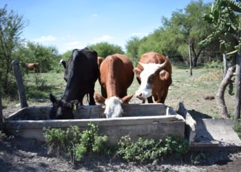 La provincia abre la inscripción a nuevos créditos para el sector agropecuario