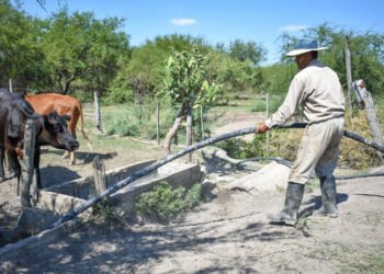 Recuerdan la vigencia de líneas de financiamiento para productores en Emergencia Agropecuaria