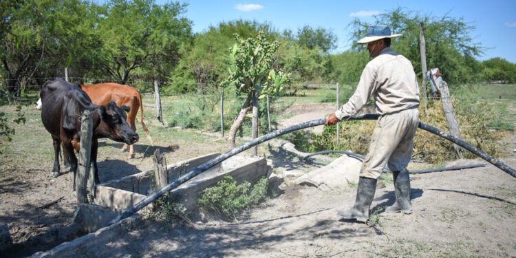 Recuerdan la vigencia de líneas de financiamiento para productores en Emergencia Agropecuaria