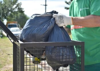 La recolección especial de patios pasará por el sector 4