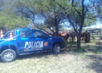 Robo de ganado en un campo de Humberto Primo despertó preocupación