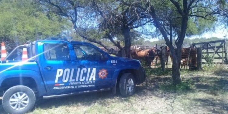 Robo de ganado en un campo de Humberto Primo despertó preocupación