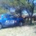 Robo de ganado en un campo de Humberto Primo despertó preocupación