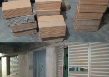 Ingresos en viviendas y obras en contrucción, un detenido