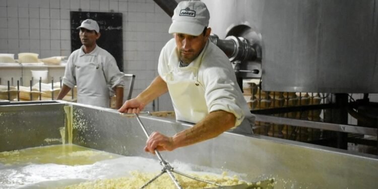 Reacciones positivas Perotti dijo que los anuncios de Massa son «una oportunidad para la cadena láctea»