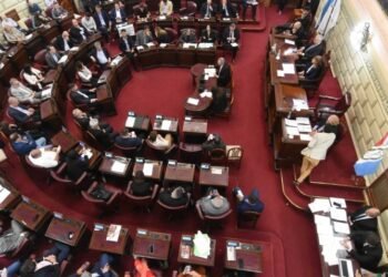 Tenso cruce en la Cámara de Diputados: Palo Oliver y Giustiniani debaten la representación de miles de santafesinos