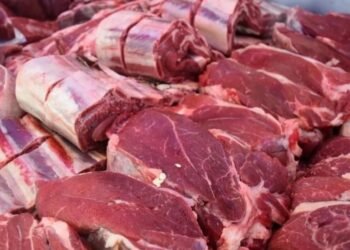 La síntesis del día La carne vacuna mejora volúmenes de exportación pero con menores precios