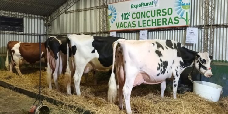 ExpoRural 2023: la agenda de actividades para este viernes