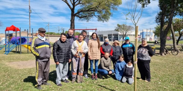 Realizaron trabajos de forestación en espacio verde de Barranquitas