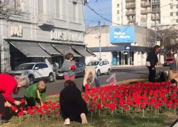 Insólito: hicieron una instalación de flores de lana y se las robaron en pocas horas