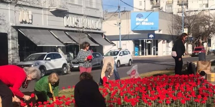 Insólito: hicieron una instalación de flores de lana y se las robaron en pocas horas