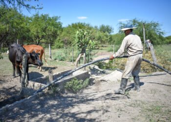 Emergencia Agropecuaria: inician la inscripción para una nueva asistencia económica a pequeños productores
