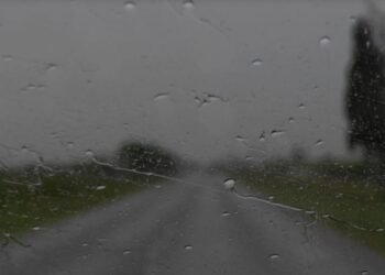 La síntesis del día La buena noticia que cayó del cielo aunque no habrá divisas hasta mayo