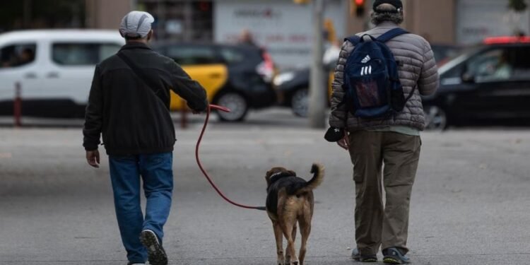 Quieren crear en Rafaela una “guardia urbana” para animales