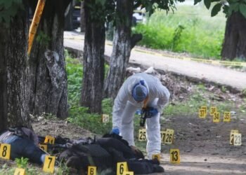 Masacre en Coyuca Emboscaron y ejecutaron a 13 policías en México
