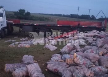 Ruta 34: Un camión cargado con papas, terminó en la cuneta