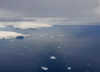 Aseguran que el deshielo acelerado en la Antártida Occidental es «inevitable»