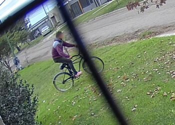 Preocupan los robos y otros hechos de inseguridad en el Loteo Plaza II