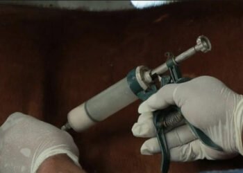 La provincia define criterios ante el inicio de la campaña de vacunación antiaftosa 2023