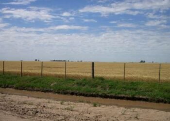 Los delincuentes tomaron la zona rural