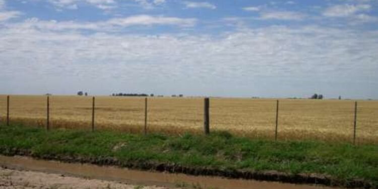 Los delincuentes tomaron la zona rural