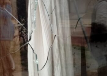 Daños e intento de robo en una distribuidora