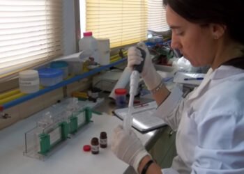 Durante 2023 se concretaron en la provincia millonarias inversiones en iniciativas científico tecnológicas