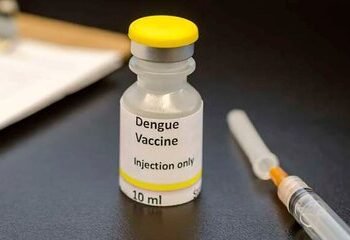 Vacuna contra el dengue: reiteran que no será de uso masivo