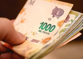 Economía concretó una nueva licitación de cinco bonos en pesos