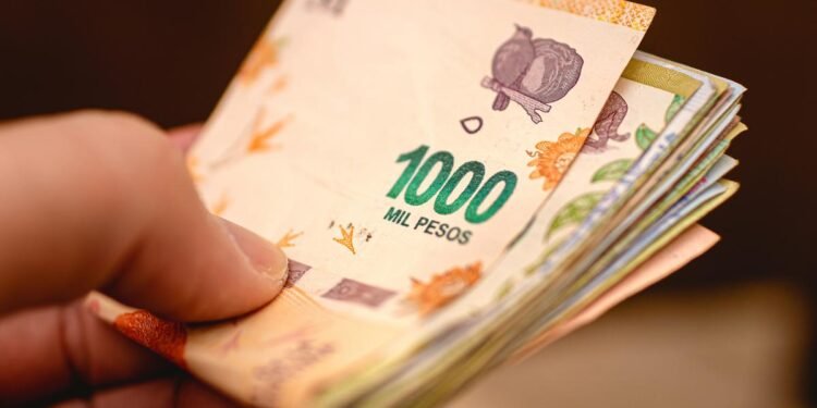 Economía concretó una nueva licitación de cinco bonos en pesos